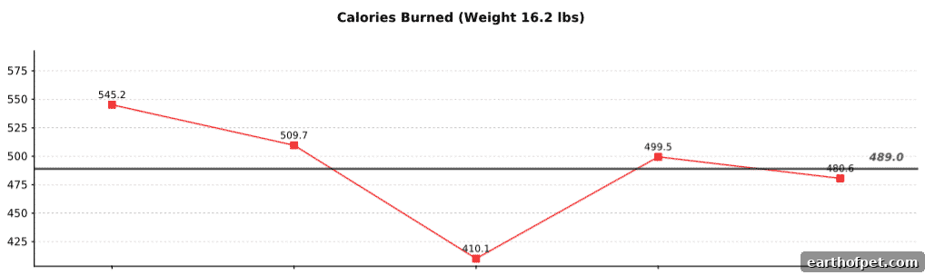 Calories Burned Chart