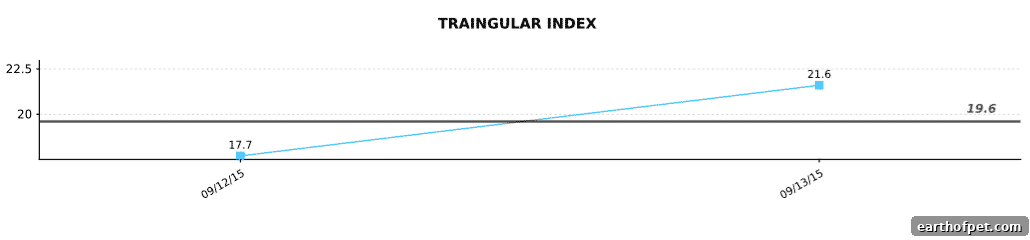 Triangular Index HRV improvement