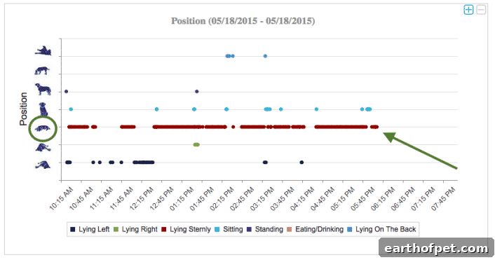 Petpace dashboard position chart