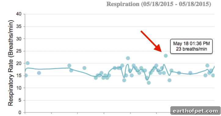 Petpace respiration chart