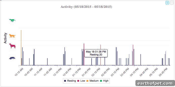 Petpace activity chart