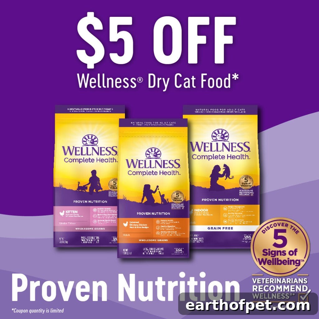 How to Transition Your Cat to Natural1 Wellness® Kibble