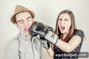 Girl hitting a guy with a boxing glove | Petpace