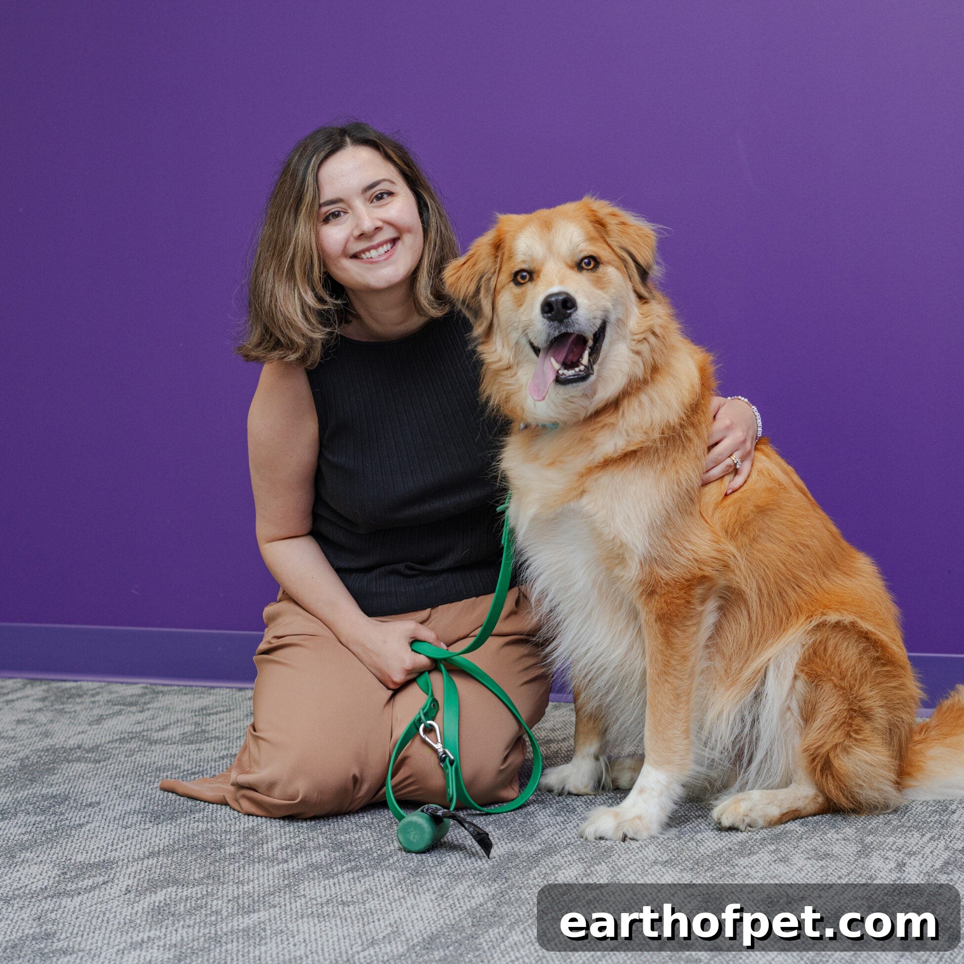 The Benefits of Pet-Friendly Workplaces: How to Make Your Office Pet-Friendly