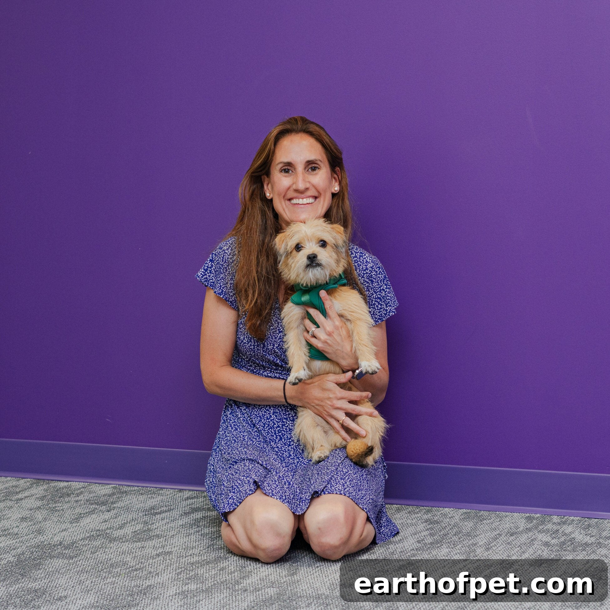 The Benefits of Pet-Friendly Workplaces: How to Make Your Office Pet-Friendly