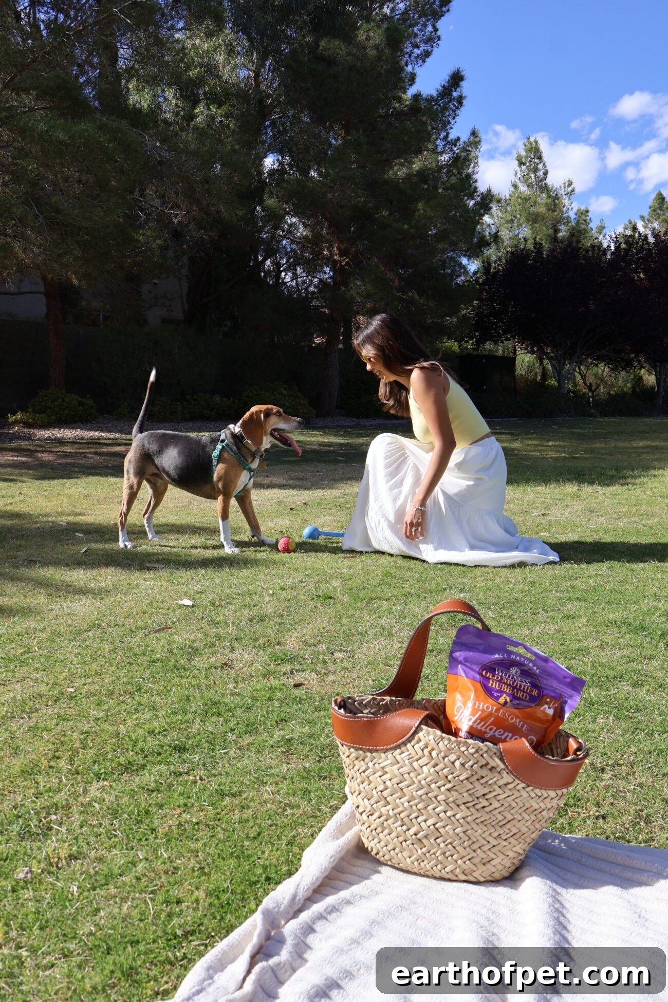 Pet Friendly Travel Destinations: Top Spots for a Late Summer Getaway