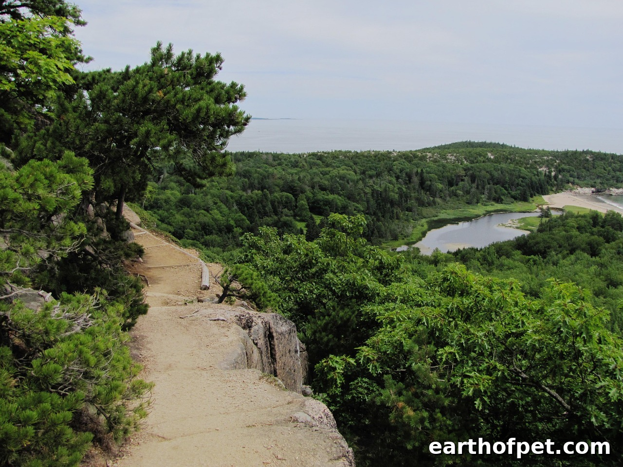 There’s always something new to discover when you set out on a hike, but choosing a dog friendly trail so you can go hiking with dogs is sure to up your entertainment on any adventure. 