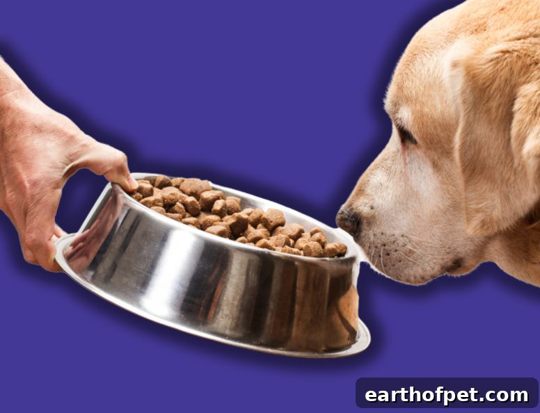 PetPace