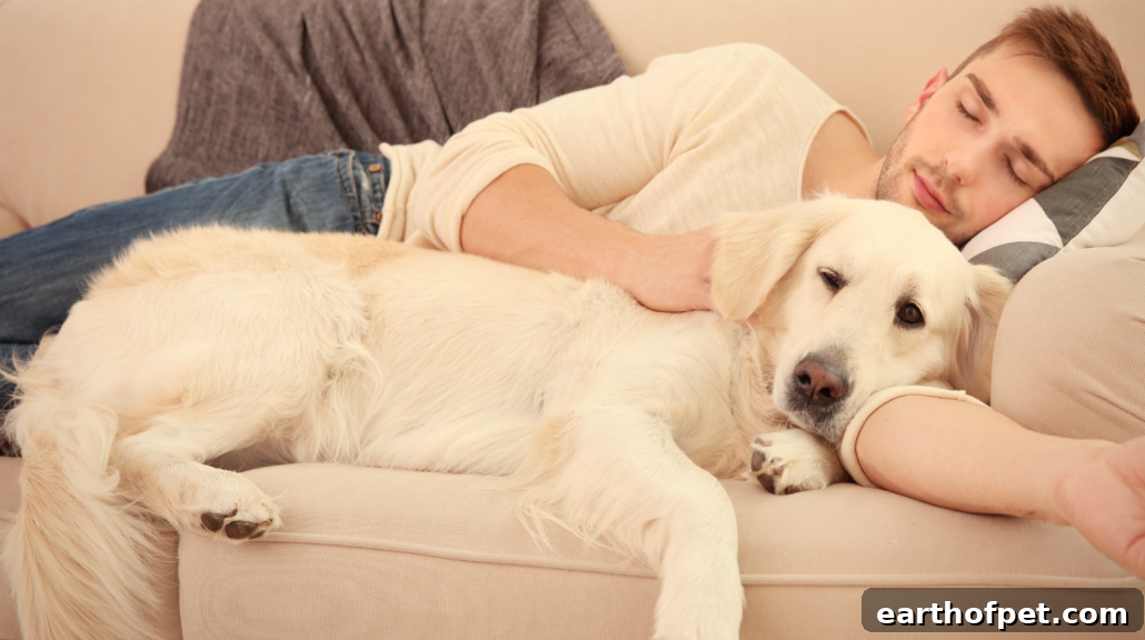 Decoding Your Dog's Love Language: What Their Greetings Really Mean | PetPace