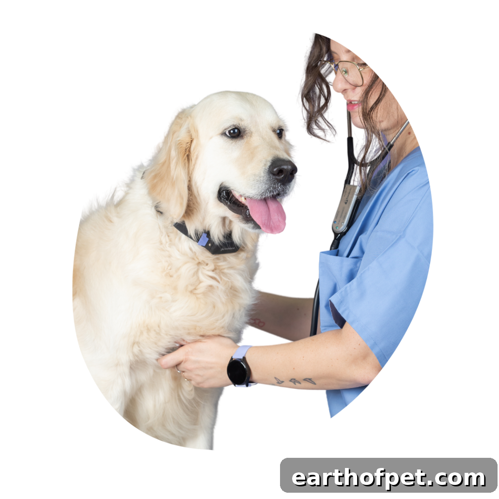 Dog health check