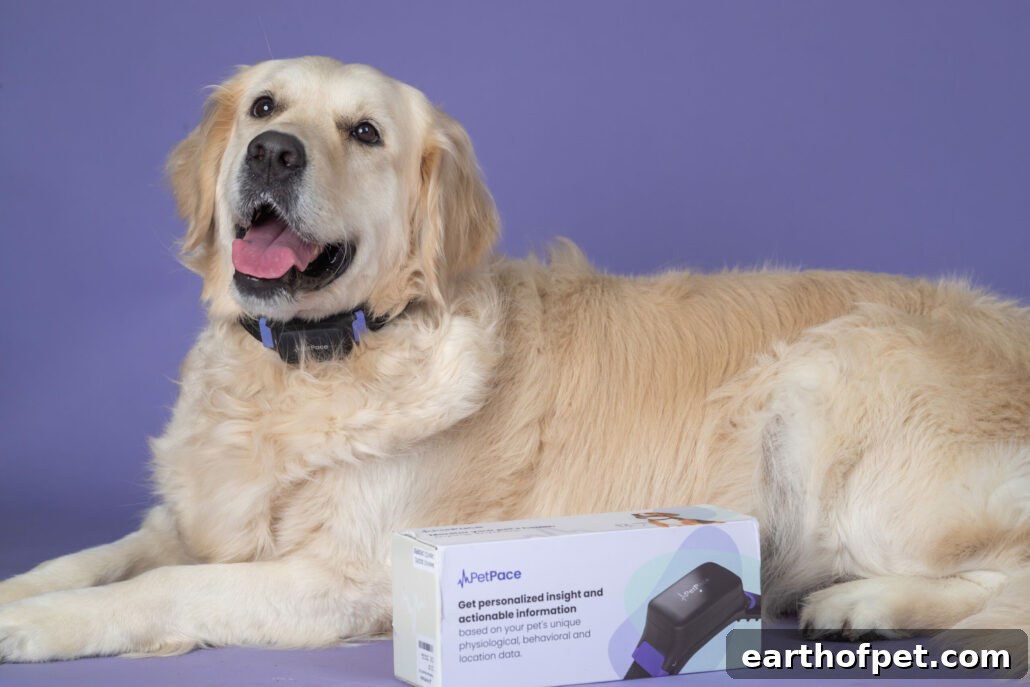 PetPace Health 2.0 dog collar