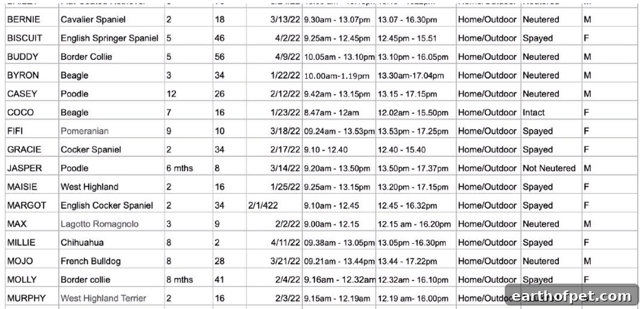 Dog data chart