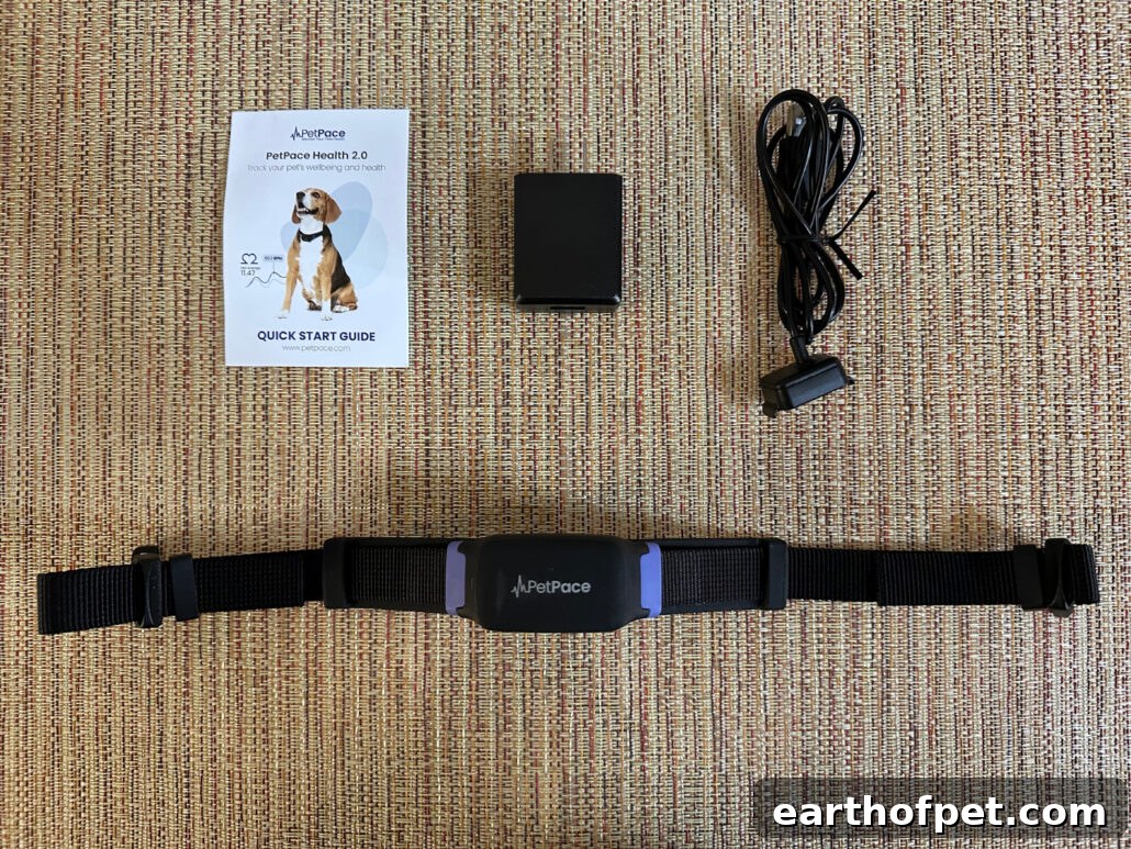 PetPace app showing dog health metrics