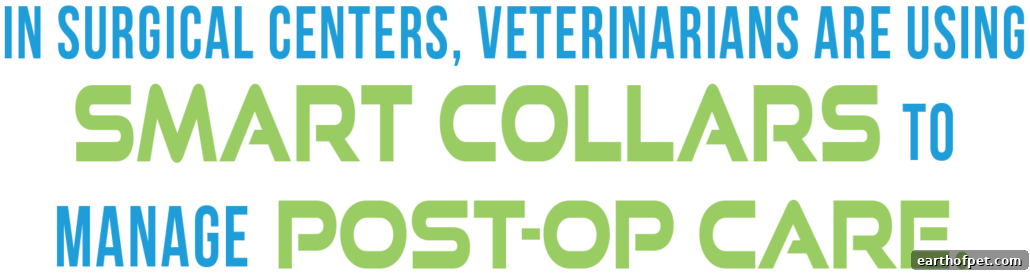 Smart collar monitoring dog physiology