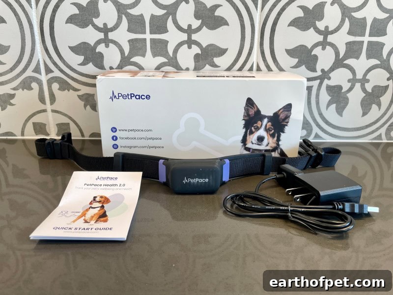 PetPace box and device
