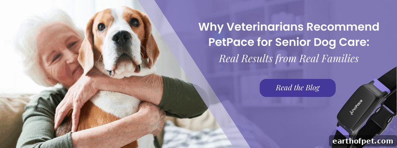 why vets recommend PetPace for senior dog care and see real results from real families | PetPace