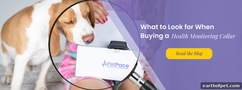 What to Look for When Buying a Health Monitoring Collar for Your Pet | PetPace