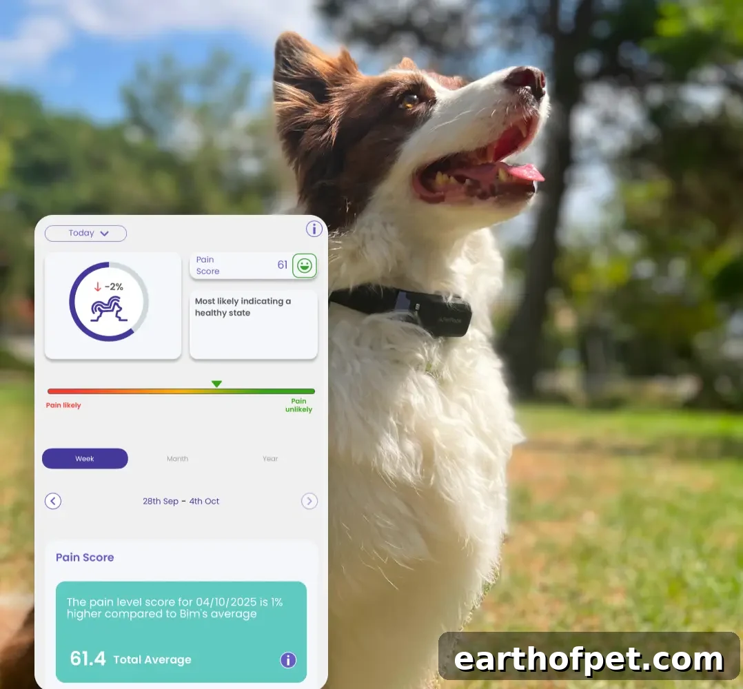 PetPace app screenshot