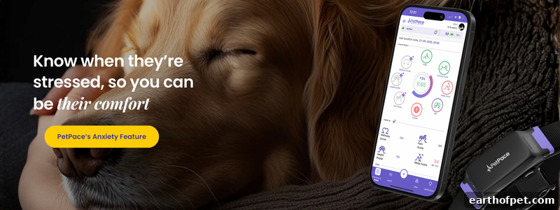 Know when they’re stressed, so you can be their comfort | PetPace