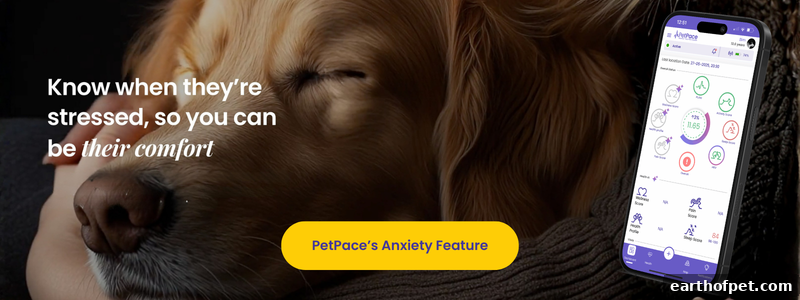 PetPace's Anxiety Feature