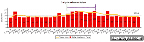 Acute elevation of maximum pulse rate during the days of illness.