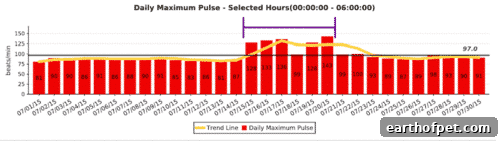 Nighttime pulse isolation showing increased maximum pulse rate while sick.