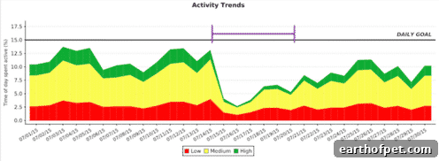 Activity chart showing overall decrease in activity level during sick days.