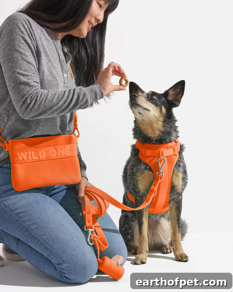 Wild One Dog Treat Pouch