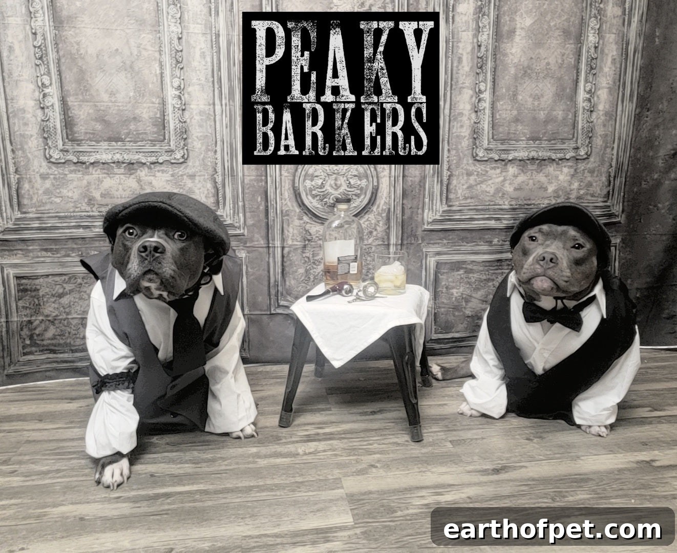 peaky barkers, dogs dressed up for halloween, dog halloween costumes, costumes for dogs, wellness pet food, wet dog food, dry dog food