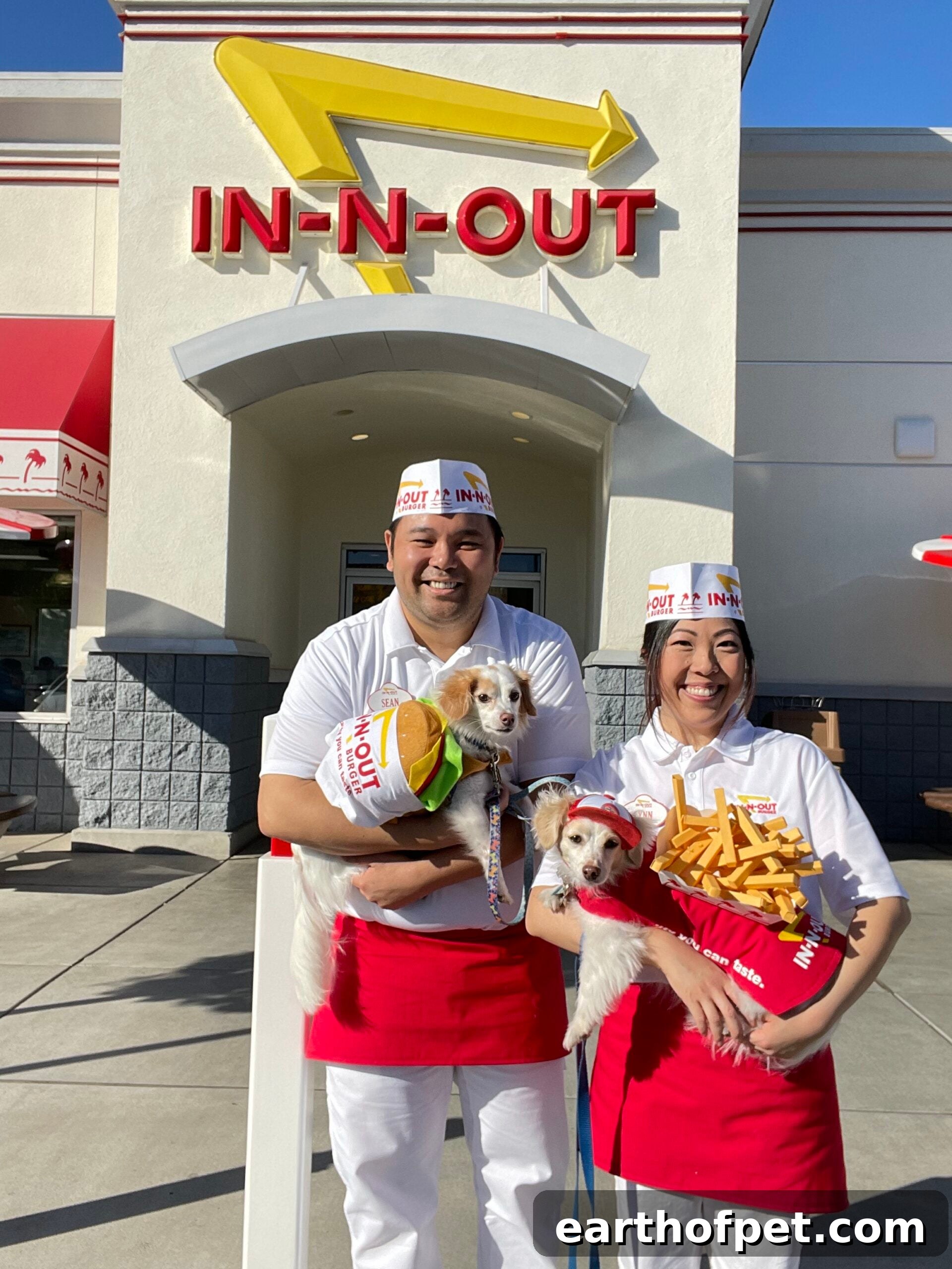 in n out pet parent costume, dogs dressed up for halloween, dog halloween costumes, costumes for dogs, wellness pet food, wet dog food, dry dog food