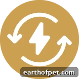 all day energy icon