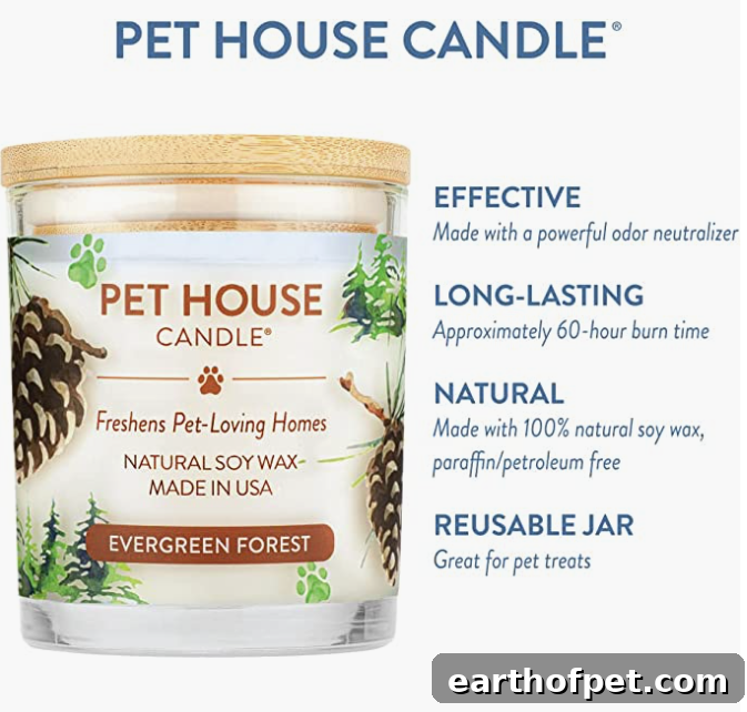 Pet House candle