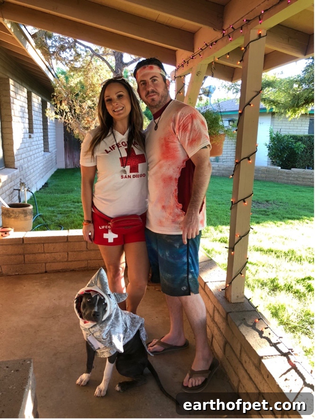 dog and owners wearing costumes
