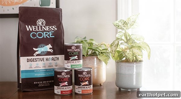 Wellness CORE Digestive Health food for dogs