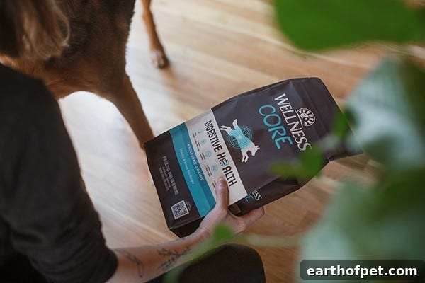 Digestive health food for dogs, What To Give Your Dog For Upset Stomach And Vomiting