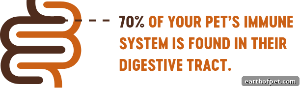 pet immune system