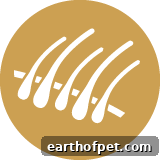 healthy skin & coat icon