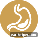 healthy digestion icon