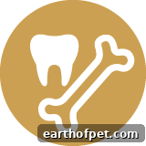 healthy teeth & bones icon