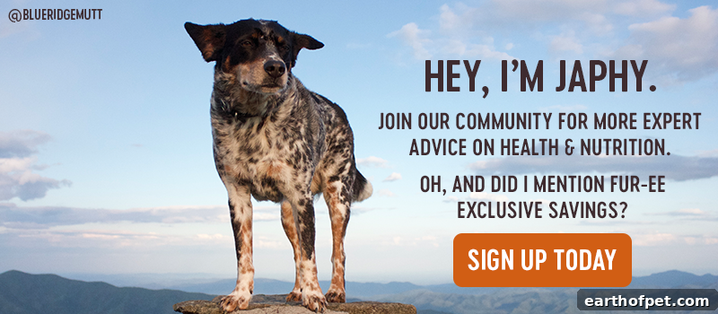 join our community
