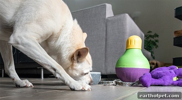 dog playing a puzzle game