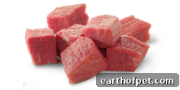 Beef as protein option dog food without chicken