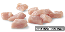 Turkey as protein option dog food without chicken