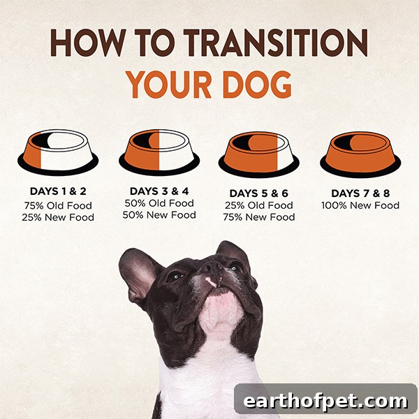 how to transition a dog to a high protein food