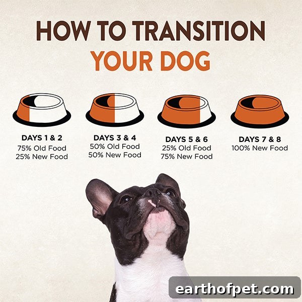 How to transition your dog to a new food - The Best Puppy Food For A Sensitive Stomach