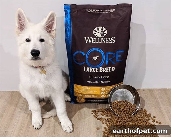 large breed puppy with Wellness CORE dry food