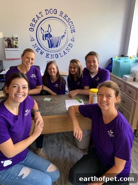 grs, Wellness Global Service Day