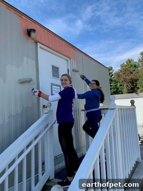 Wellness Global Service Day