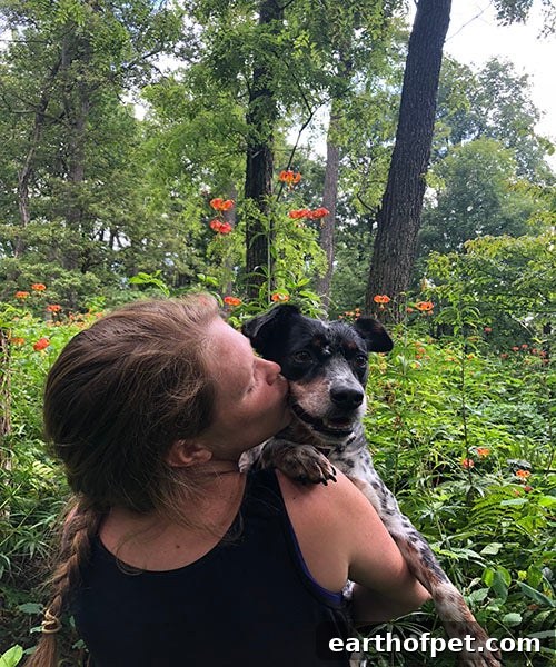 Japhy relaxing after a hike