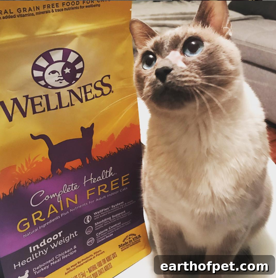 Complete Health Dry Cat, Wellness Complete Health Grain-Free Recipes Replacing Grained Diets